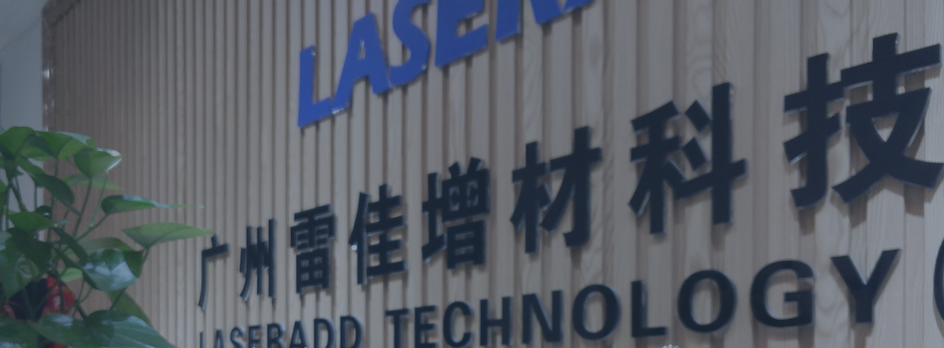 �ڲ���tbh��(�й���)����Ϊ���ٷ���վ